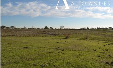 Sitio en Venta en 