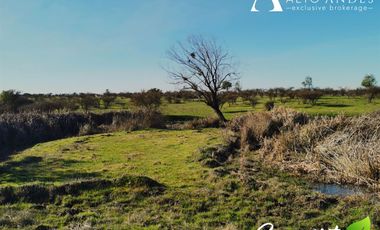 Sitio en Venta en 