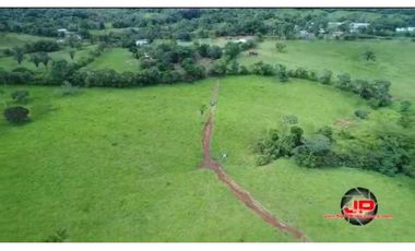 VENDO TERRENO EN LLANITO VERDE DE LA CHORRERA HURTADO 230000MTS
