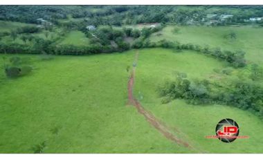 VENDO TERRENO EN LLANITO VERDE DE LA CHORRERA HURTADO 230000MTS