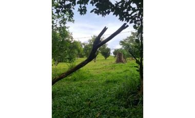 VENDO TERRENO EN LLANITO VERDE DE LA CHORRERA HURTADO 230000MTS