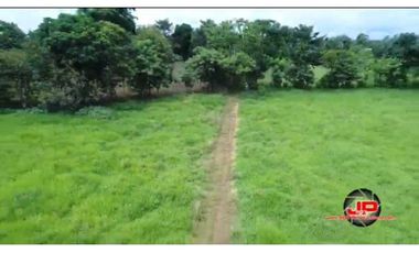VENDO TERRENO EN LLANITO VERDE DE LA CHORRERA HURTADO 230000MTS