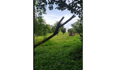 VENDO TERRENO EN LLANITO VERDE DE LA CHORRERA HURTADO 230000MTS
