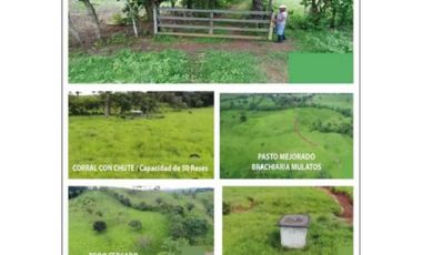 VENDO TERRENO EN LLANITO VERDE DE LA CHORRERA HURTADO 230000MTS