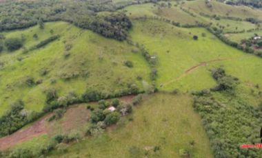 VENDO TERRENO EN LLANITO VERDE DE LA CHORRERA HURTADO 230000MTS