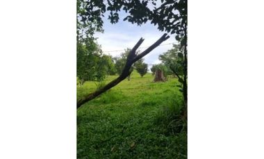 VENDO TERRENO EN LLANITO VERDE DE LA CHORRERA HURTADO 230000MTS