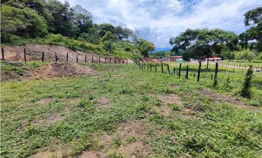 Lote En Sopetran Vereda La Miranda