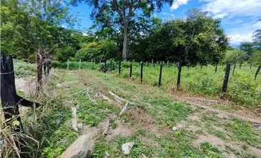 Lote En Sopetran Vereda La Miranda