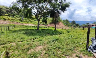 Lote En Sopetran Vereda La Miranda