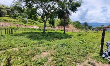 Lote En Sopetran Vereda La Miranda