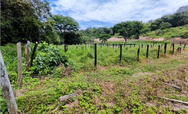 Lote En Sopetran Vereda La Miranda