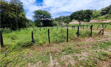 Lote En Sopetran Vereda La Miranda