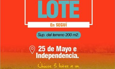 LOTEO SEGUÍ, ENTRE RÍOS