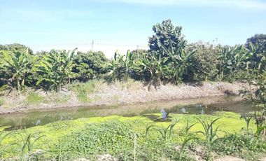 New Build Homes For Sale back up to the Ping River in Chiangmai