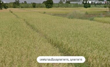 Land for sale in Mueang Mukdahan Near Thai Watsadu,