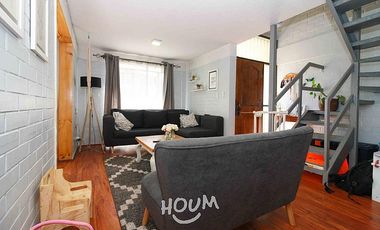 JARDÍN DE LA VIÑA ALT 490