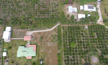 Venta de 600.000 metros de terreno