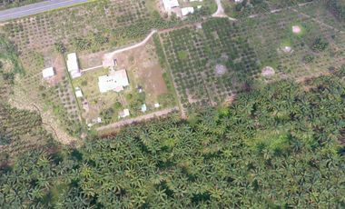 Venta de 600.000 metros de terreno