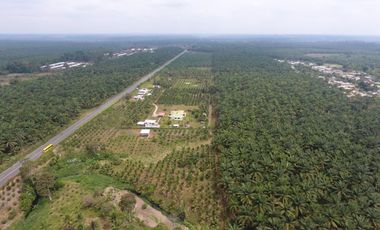 Venta de 600.000 metros de terreno