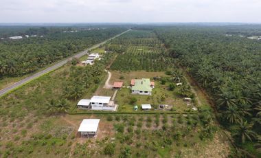 Venta de 600.000 metros de terreno