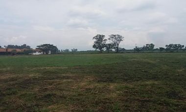 lote en venta en la dolores. Cod V6225