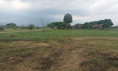 lote en venta en la dolores. Cod V6225