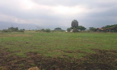 lote en venta en la dolores. Cod V6225