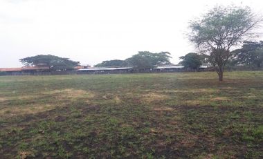 lote en venta en la dolores. Cod V6225