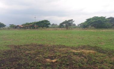 lote en venta en la dolores. Cod V6225