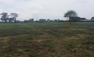 lote en venta en la dolores. Cod V6225