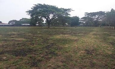 lote en venta en la dolores. Cod V6225