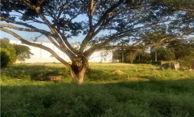 LOTE EN VENTA LA DOLORES, VALLE DEL CAUCA