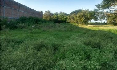 LOTE EN VENTA LA DOLORES, VALLE DEL CAUCA