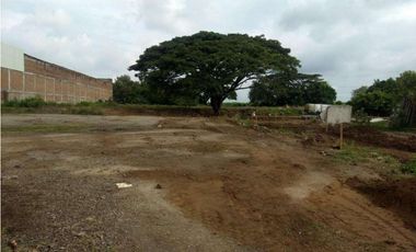 LOTE EN VENTA LA DOLORES, VALLE DEL CAUCA