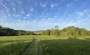 Sitio en Venta en ULTIMAS UNIDADES Parcelación Agricola Los Cipreses 5. 000 m2, Paillaco, Futrono, Valdivia