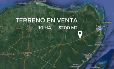 Terreno en venta 10 HA en Leona Vicario, al lado de la Ruta de los Cenotes