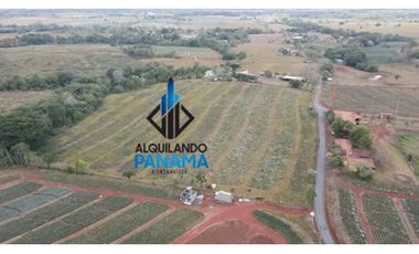 Se Vende Finca Agropecuaria 35 Ha USD807,500,/La Chorrera Herrera