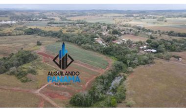 Se Vende Finca Agropecuaria 35 Ha USD807,500,/La Chorrera Herrera