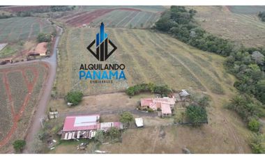 Se Vende Finca Agropecuaria 35 Ha USD807,500,/La Chorrera Herrera