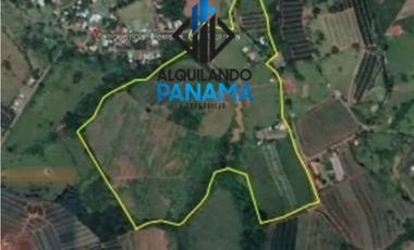 Se Vende Finca Agropecuaria 35 Ha USD807,500,/La Chorrera Herrera