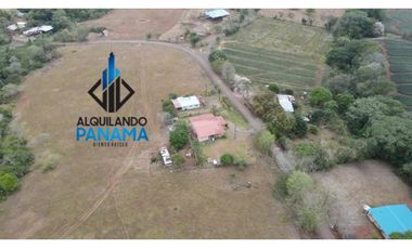 Se Vende Finca Agropecuaria 35 Ha USD807,500,/La Chorrera Herrera