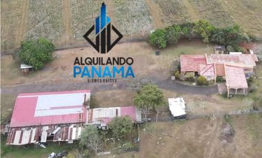 Se Vende Finca Agropecuaria 35 Ha USD807,500,/La Chorrera Herrera