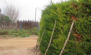 ¡¡¡BUEN SITIO SE VENDE!!! CON CASA SIN TERMINO DE CONSTRUCCIÓN