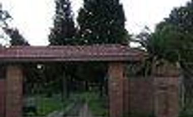 quinta
