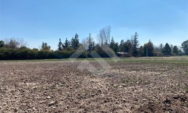 Parcela en Venta en El Oliveto