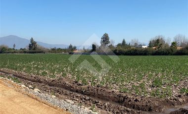 Parcela en Venta en El Oliveto