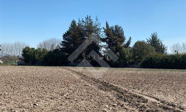 Parcela en Venta en El Oliveto
