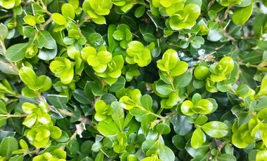 Casa en venta en Longchamps