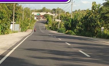 Luas 159m2, Tanah Murah Sentolo, Cuma 100 Jt-an Kredit 12X