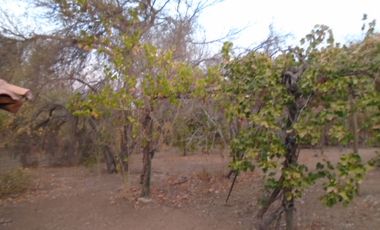 SE VENDE PARCELA EN CONDOMINIO LOS NARANJOS